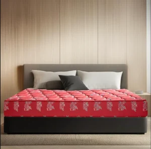 Kurlon Natural Coir Mattress